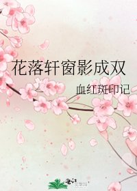 花落軒窗影成雙
