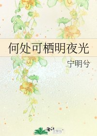 《何處可棲明夜光》