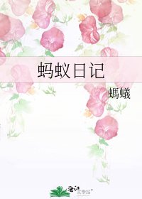 蚂蚁留记