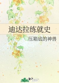 迪達拉練就史