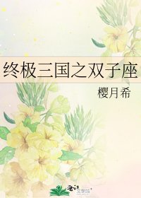 終極三國之雙子座