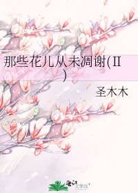 那些花兒從未凋謝(Ⅱ)