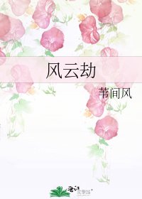 风云劫