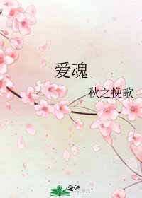 爱魂