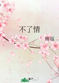 不了情