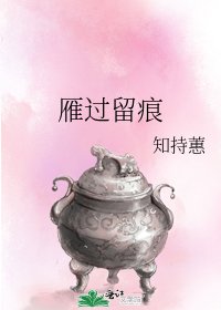 雁過留痕
