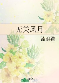 无关风月