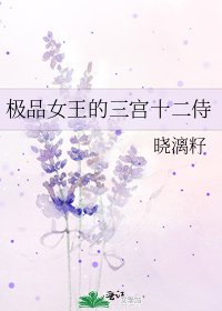極品女王的三宮十二侍