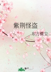 紫荆怪盗