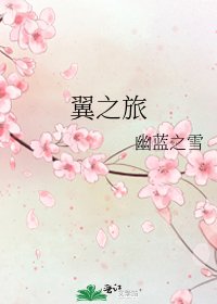 《翼之旅》