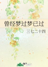 曾经梦过梦已过