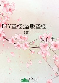 DIY圣经(盗版圣经or