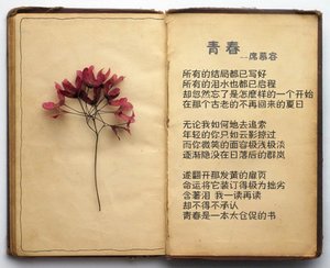 像一记感叹号