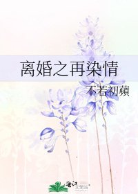 離婚之再染情