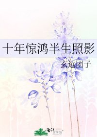 十年驚鴻半生照影