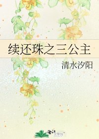 续还珠之三公主
