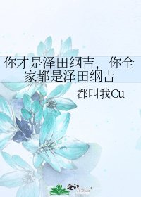 《你才是澤田綱吉,你全家都是澤田綱吉》