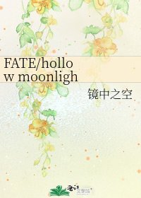 FATE/hollow moonlight