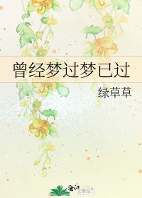 曾经梦过梦已过