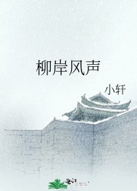 柳岸風聲