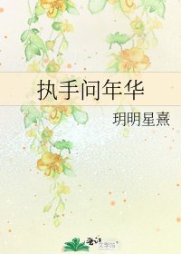 执手问年华