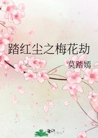 踏哄塵之梅花劫
