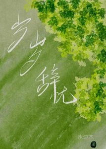 歲歲辭憂
