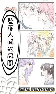 《墜落人間的鳳凰》
