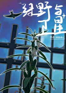 綠野與衞星(GB)