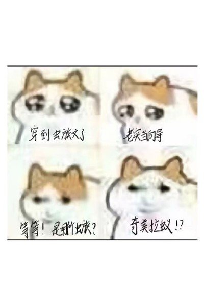 (獵人同人)穿成蟲族文嚮導