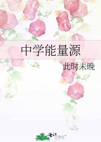 中学能量源