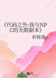 代码之外:我与NPC的无限副本