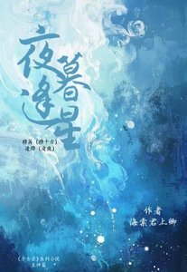 夜暮逢星