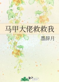 马甲大佬救救我