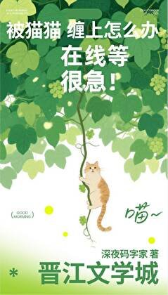 被貓貓纏上怎麼辦!在線等很急!