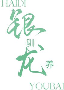 驯养银龙的第N天