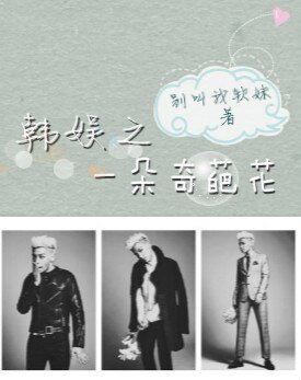 (BG/韓娛同人)韓娛之一朵奇葩花