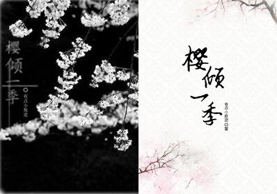 《(火影同人)櫻傾一季》